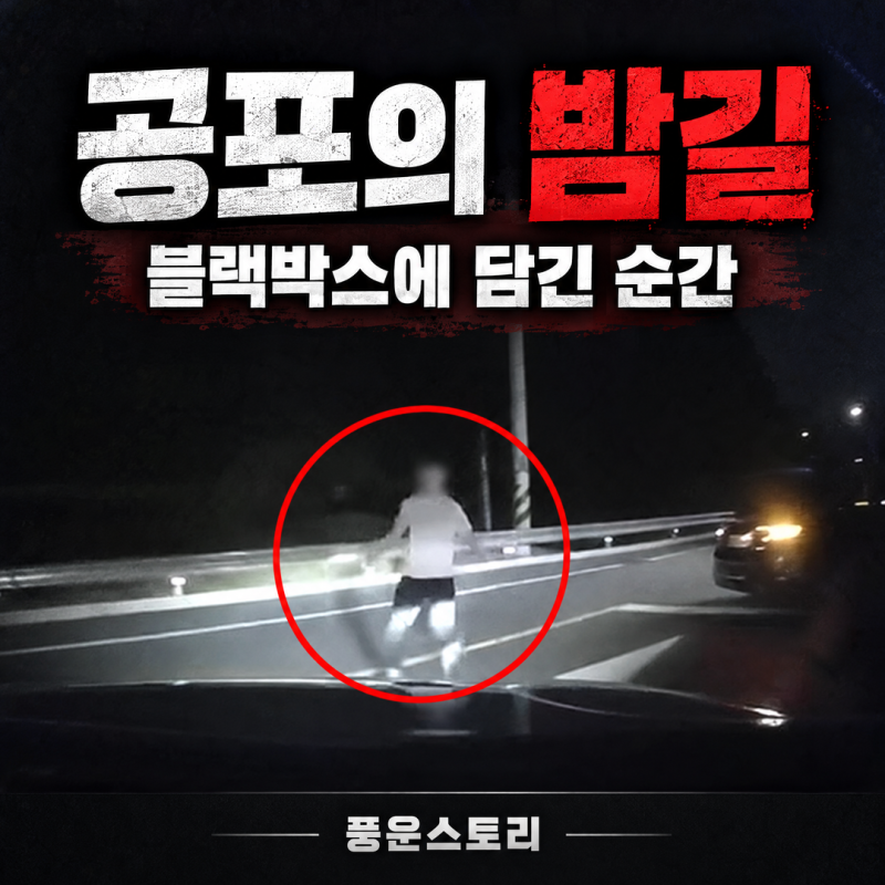 밤길 차 가로막고 보닛 발로 차더니... 한문철TV 난리 난 외국인 일당의 황당한 진술