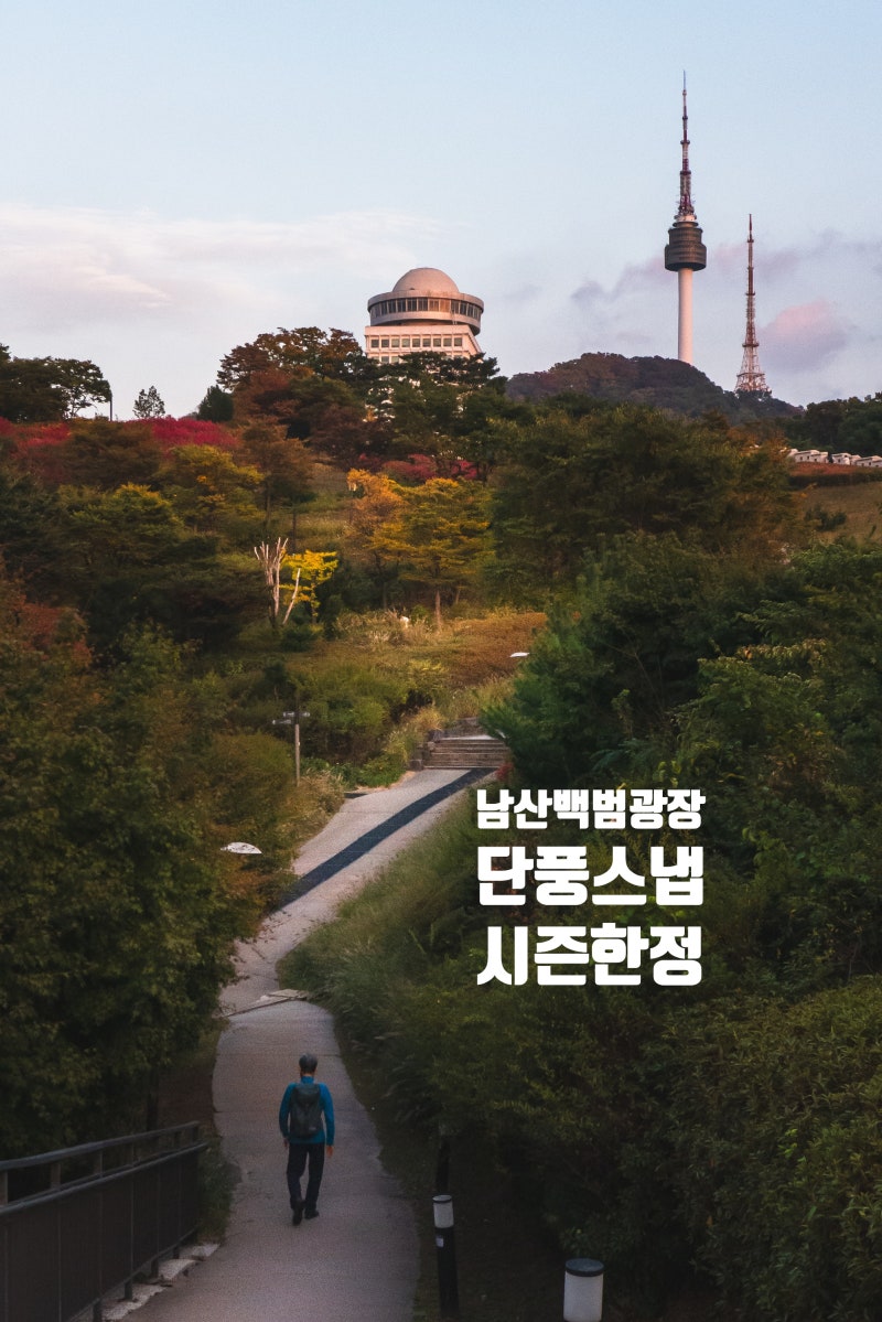 서울 남산 백범광장 가을 한정 단풍 커플 데이트 스냅 & 야외 웨딩스냅 90분 촬영 공지