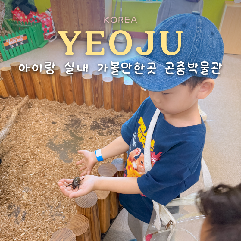 경기도 실내 아이와 가볼만한곳 여주 곤충박물관 체험 할인
