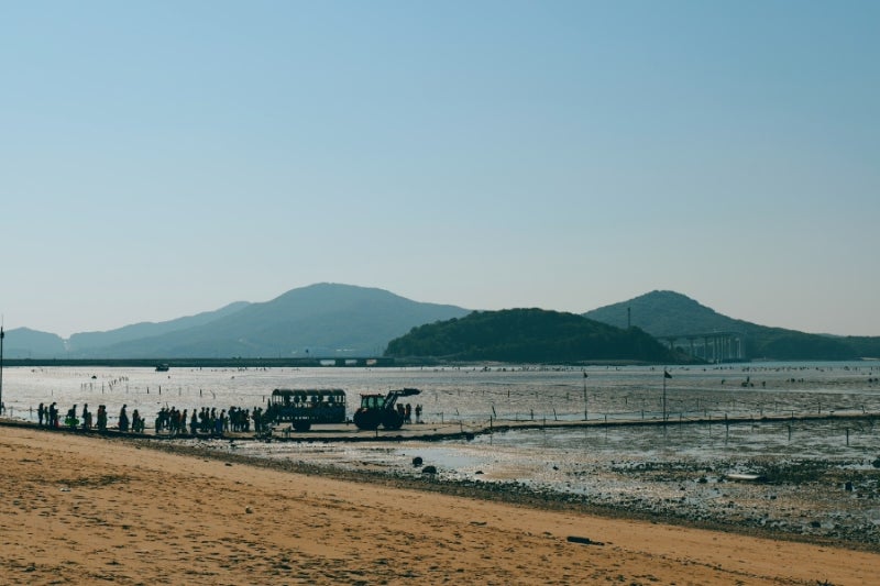 마시안해변 갯벌체험 그리고 별빛조개포차로 마무리