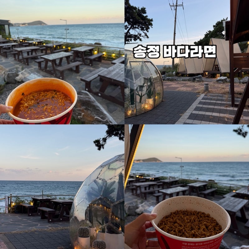 송정 바다라면 가격 실화? 부산 송정 가볼만한곳 부산 송정 카페