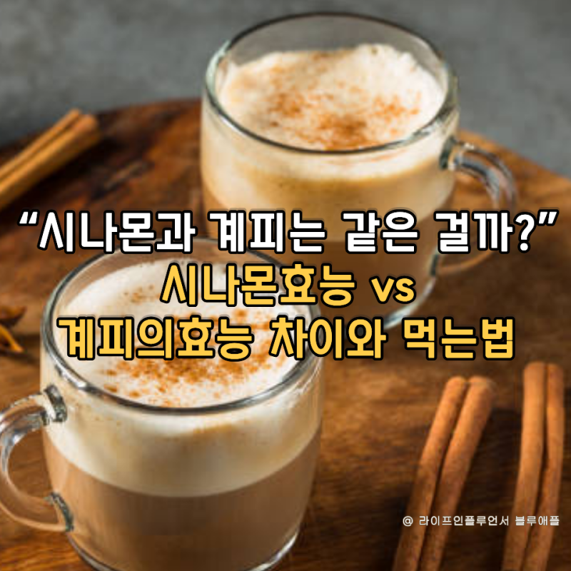 시나몬과 계피는 같은 걸까? 시나몬효능 계피의효능 차이와 먹는법