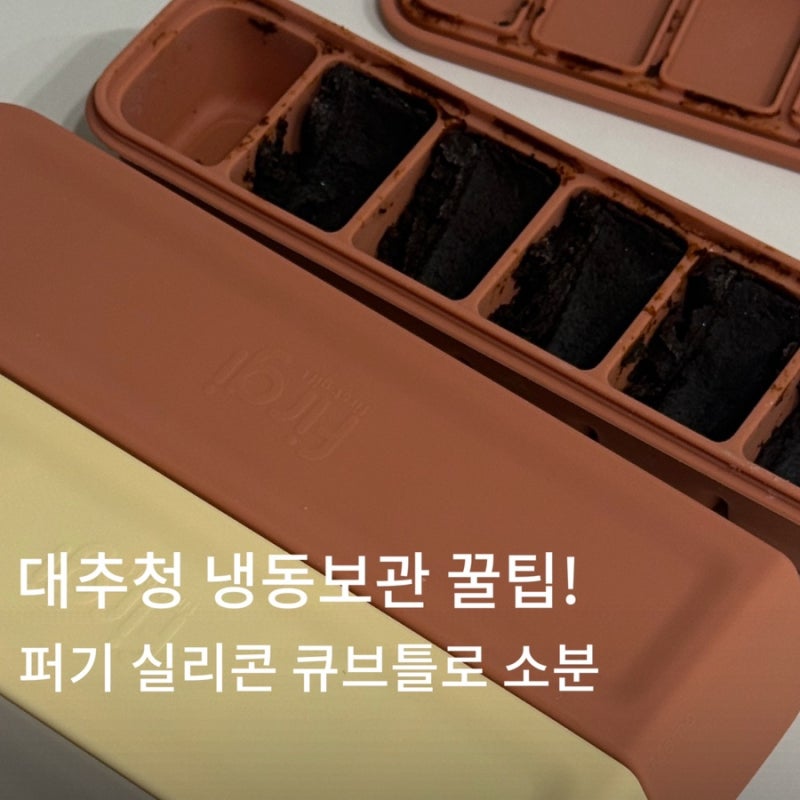 대추청 냉동보관 꿀팁! 퍼기 실리콘 큐브틀로 소분하기