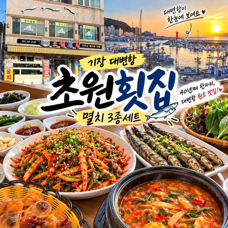 기장 대변항 전통원조맛집 '초원 횟집'｜뷰 끝내주는 곳에서 즐긴 멸치3종코스 대만족 후기