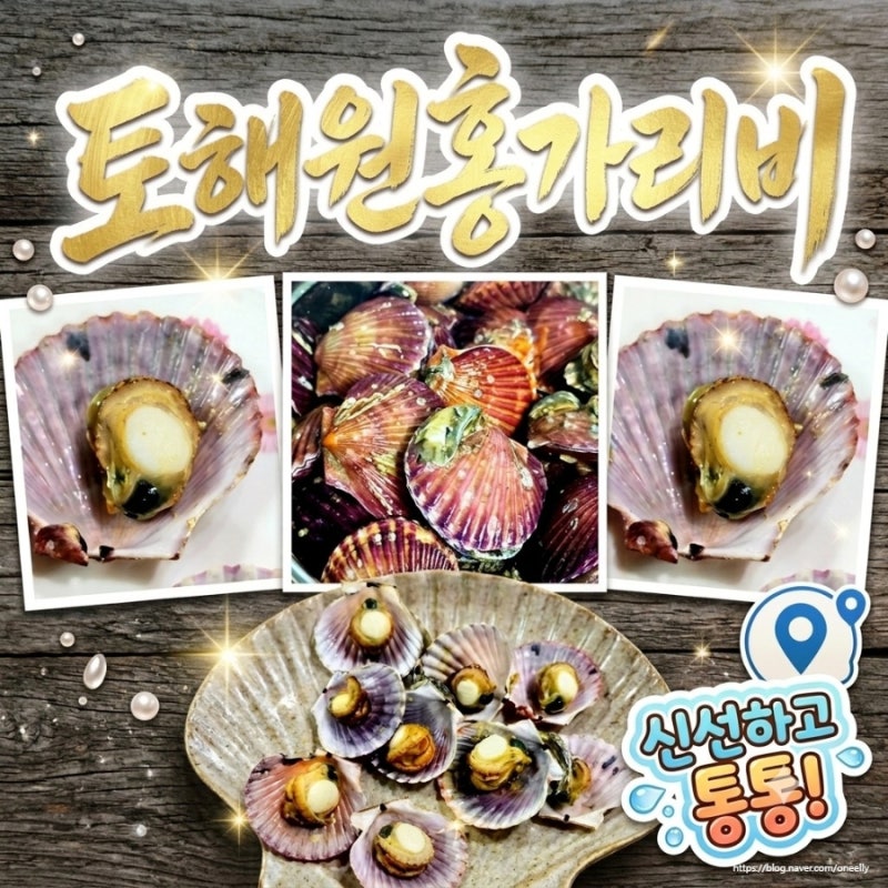 토해원 통영 홍가리비 추천 맛있는 가리비찜 레시피