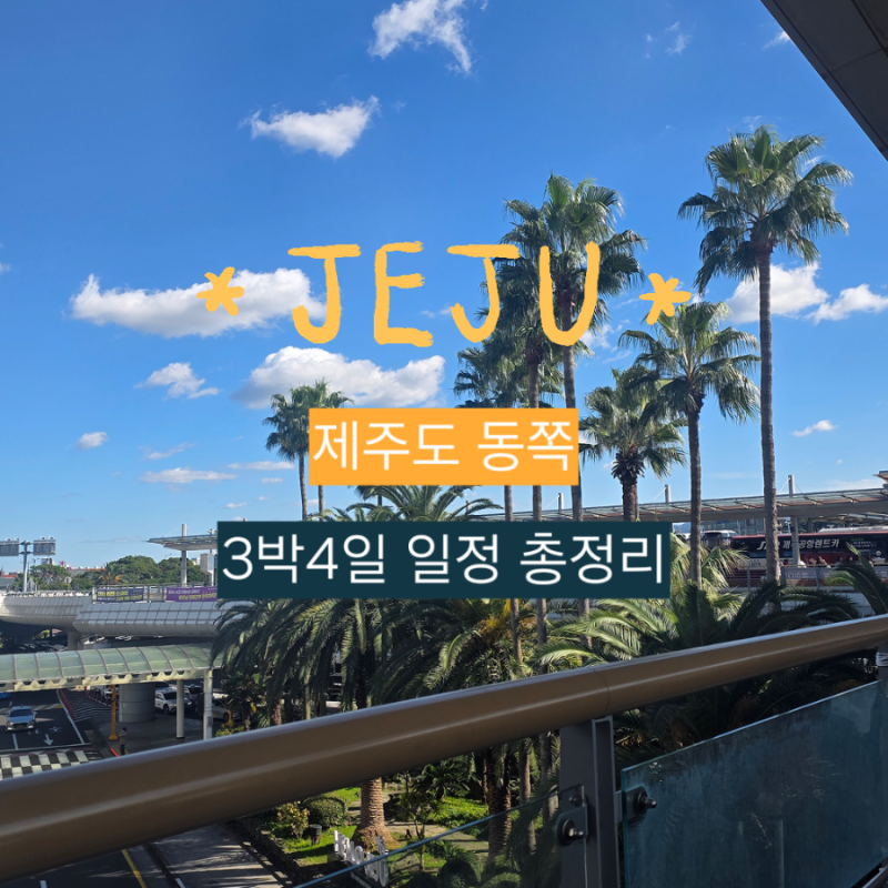 제주도 3박4일ㅣ10월 제주 동쪽 여행 코스 총정리