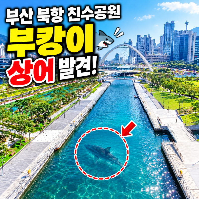 부산 북항 친수공원 부캉이 보고 어디 갈까? 근처 가볼 만한 곳 추천 BEST 5