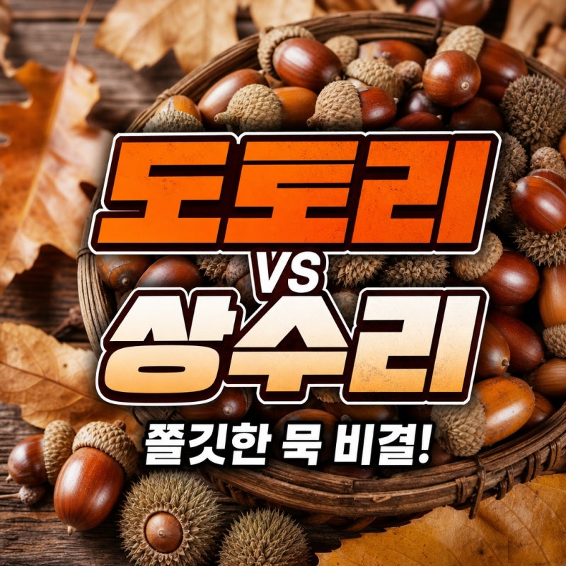 도토리 상수리 차이 비교 분석, 떫은맛 줄이고 쫄깃한 묵 만드는 최적의 재료 선택법