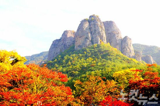 2026 주왕산 단풍 절정 시기는 10월 26일 전후! 첫 단풍 시작됐다 – 주산지·용추폭포 코스, 주....