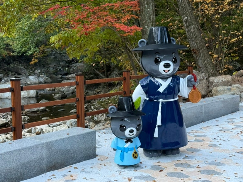 [등산] 덕유산 구천동 계곡 향적봉 코스(단풍, 국립공원 굿즈, 곤도라 운행취소)