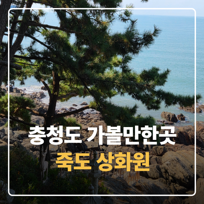 충청도 보령 가볼만한곳 죽도 상화원 종교 상징물 직접 찾아본 후기