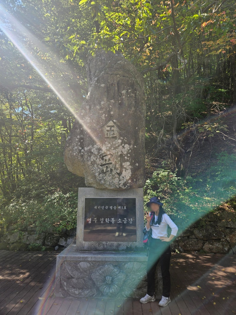 오대산 소금강의 절경과 경포대 바다의 청량함까지 다 맛보고 맛있는 식사에 커피 디저트까....