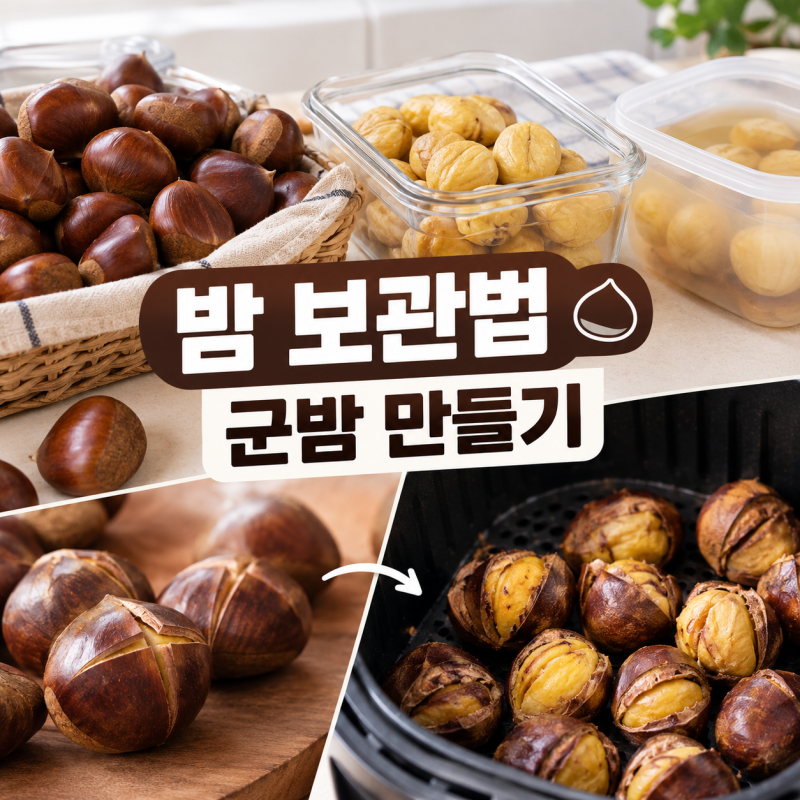 밤에 곰팡이 피기 전에! 생밤·깐밤·삶은 밤 보관법과 에어프라이어 군밤 만들기