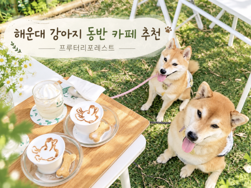 해운대 강아지 동반 카페 추천 달맞이길 브런치 즐기는 프루터리포레스트