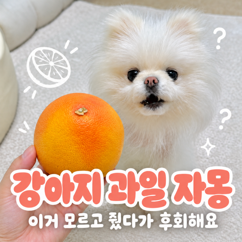 강아지 과일 자몽 비타민 많다고 줬는데 중독될 수도 있다고?