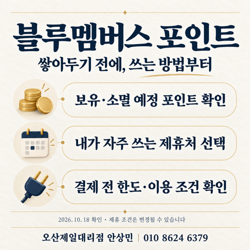 블루멤버스 포인트 사용처, 쌓아두기 전에 소멸 예정일부터 확인하세요