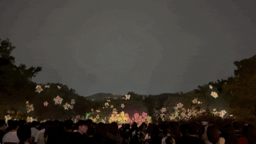 2026 창경궁 물빛연화 관람석 사전예약 입장방법 고궁미디어아트 주말 관람후기 서울 밤데이....