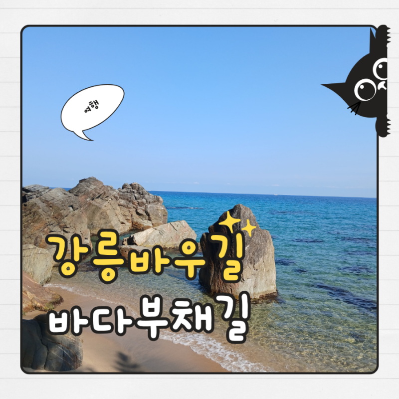 ktx타고간 강릉바우길 16코스와 해파랑길 35코스