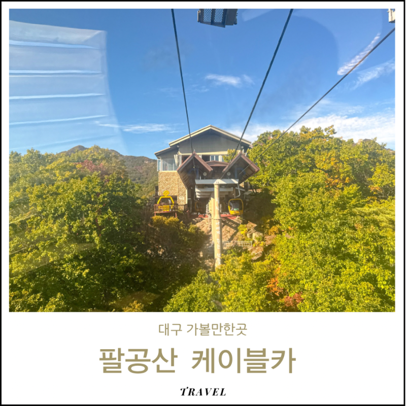 팔공산 케이블카 할인 대구 가족 10월 11월 단풍 여행지 나들이 추천