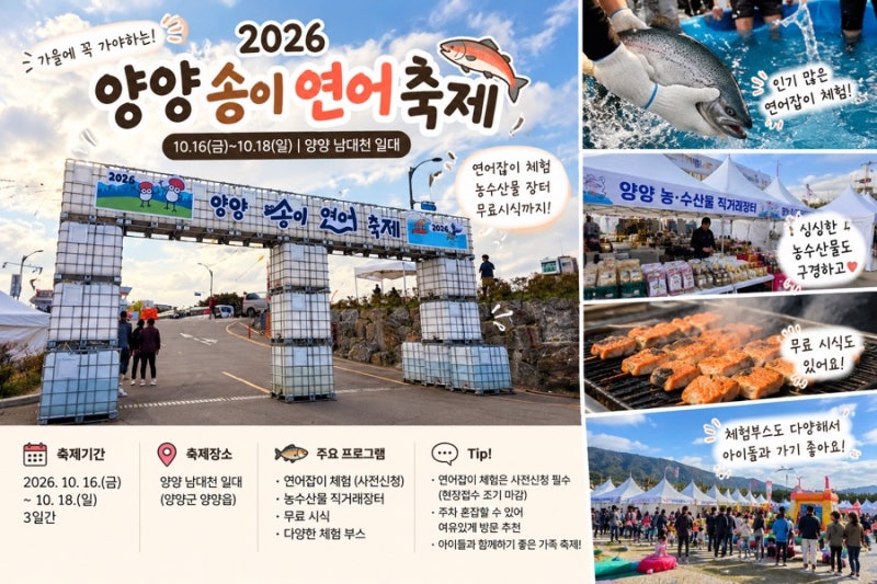 2026 양양 송이연어축제 10월 18일까지! 연어잡이 체험 현장접수 주의사항