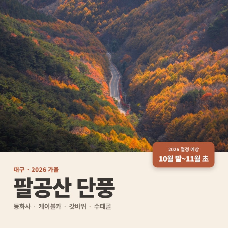 팔공산 단풍 언제 가면 좋을까, 동화사·케이블카·갓바위·수태골 2026