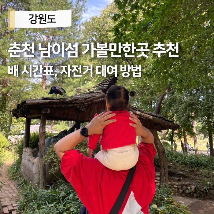 춘천 남이섬 자전거 대여 배 시간표 서울 근교 당일치기 여행 가볼만한곳 추천