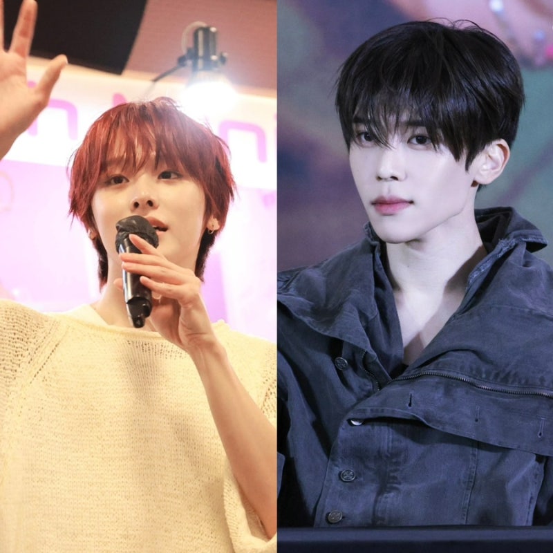 엔시티위시 공팬 시온 자켓, 미팬 리쿠 니트
