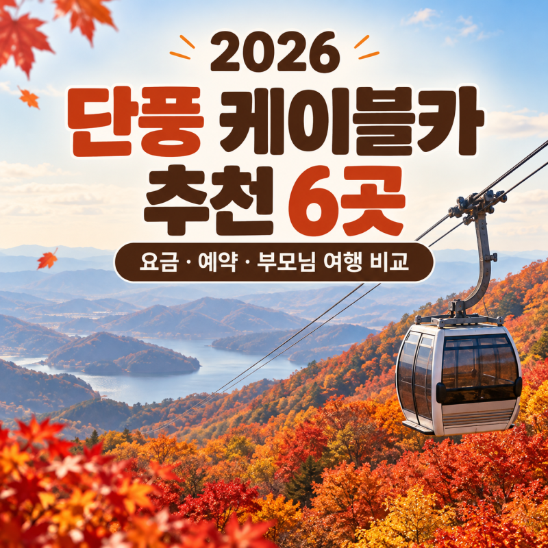 2026 단풍 케이블카 추천 6곳｜설악산·대둔산·청풍호 요금·예약·부모님 여행 비교