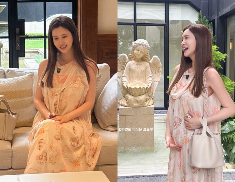 건물주 클라스 증명? 이다해, 만삭 몸으로 단 2시간에 200억 터진 진짜 이유