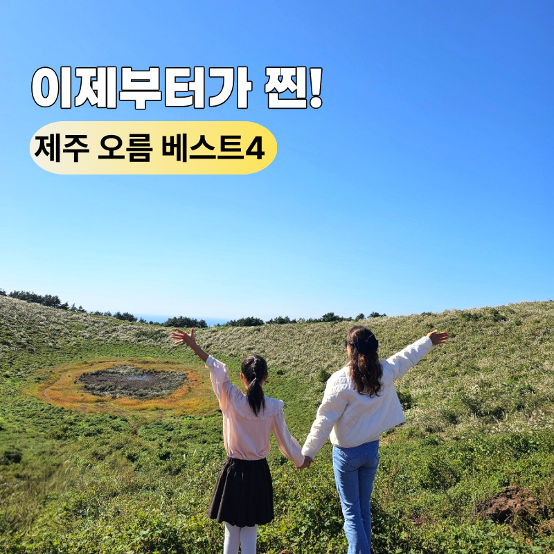 지금부터가 찐! 10월 11월 제주도 오름 베스트 4곳 가을 여행 가볼만한곳