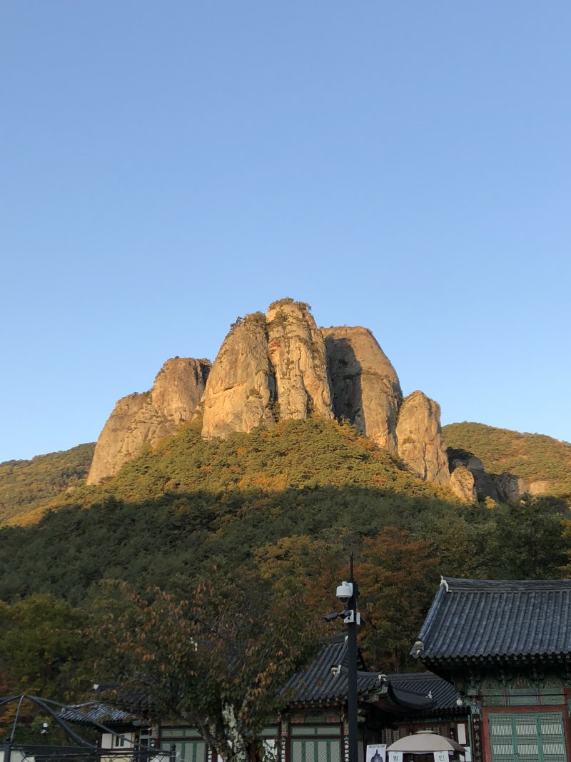 2026 주왕산 단풍시기 절정 10월 26일 | 주봉 등산코스·절골 가메봉 탐방예약제·주산지