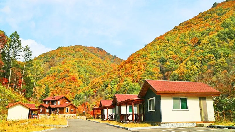 인제 국립 용대자연휴양림 숙박 야영장 주차 이용안내