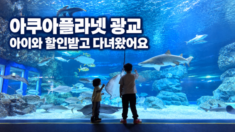 아쿠아플라넷 광교 아이와 주말 방문 후기 할인방법은