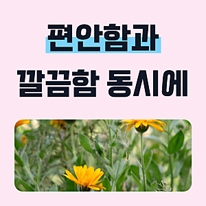 트라이 남자 런닝 순면 코튼 컬러 민소매 반팔 메리야스 2종세트