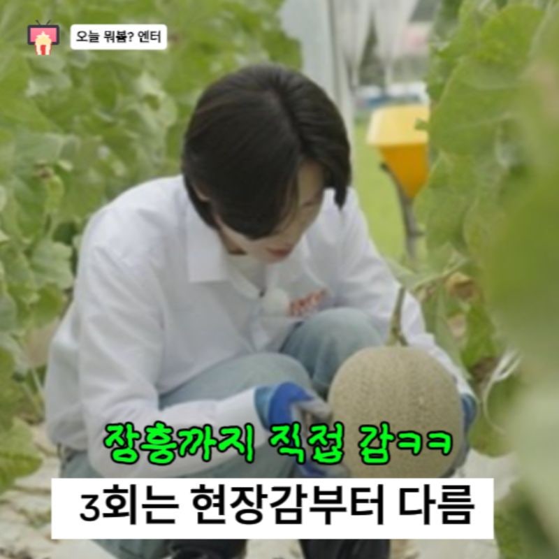 “장흥까지 직접 내려감?ㅋㅋ” 트롯 키친 달리는 디너쇼 3회, 오늘은 현장감부터 다르다