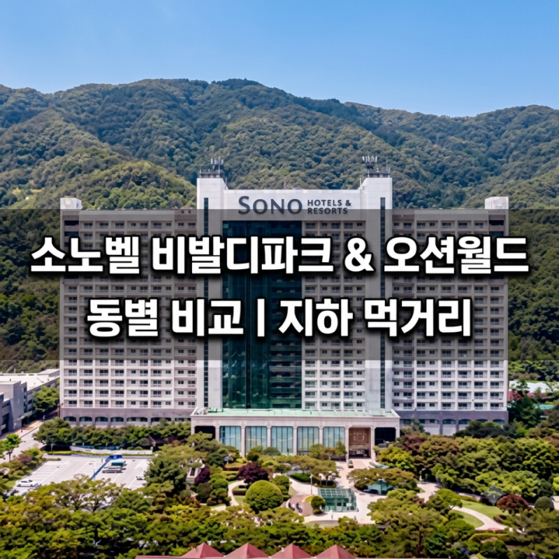 [소노벨 비발디파크 & 오션월드 정복] 객실 동별 비교부터 지하 비바플렉스몰, 7월 첫째주 평....