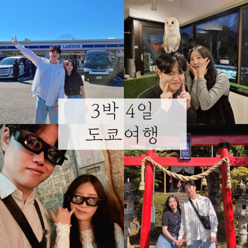⭐ [도쿄 3박 4일 코스] 후지산 투어부터 디즈니씨, 맛집 투어까지 완벽 총정리!