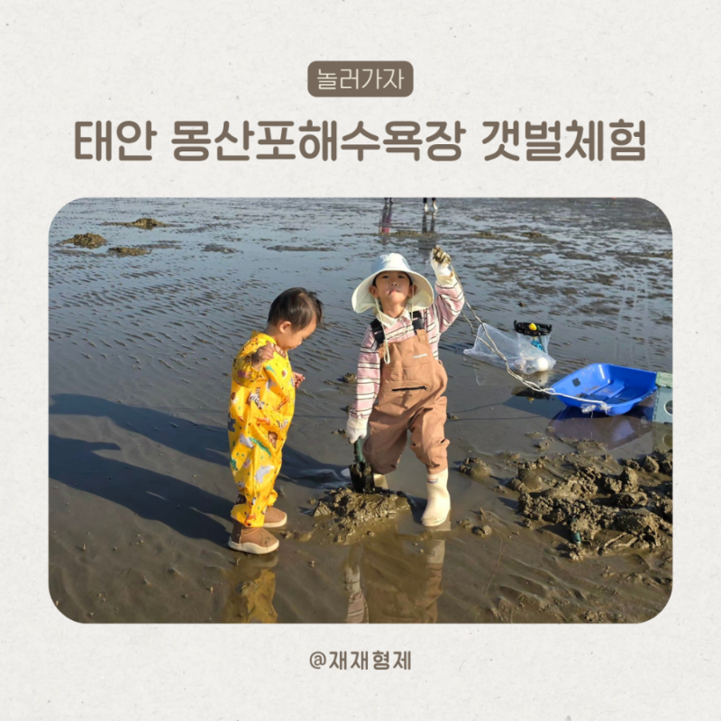 태안 몽산포 갯벌체험 준비물 총정리 아이와 당일치기 가슴장화 눈썰매 꿀팁