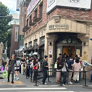 [대전 맛집] 성심당 오픈런 후기! 무화과시루! (9월)