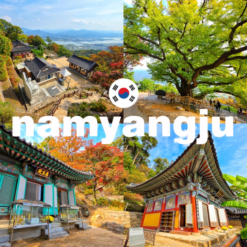 남양주 운길산 수종사 절 은행나무 단풍 시기 실시간