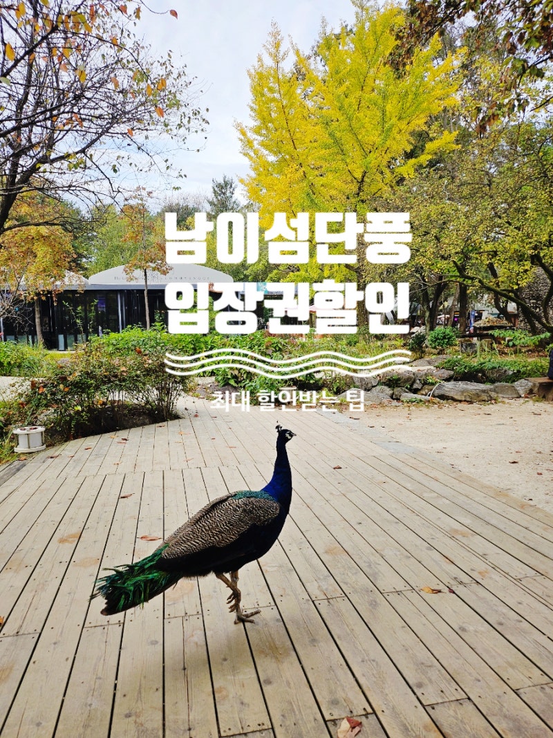 가평 남이섬 단풍 10월 19일 현황 입장권 할인 배시간 탑승권 최대 할인 구매 팁