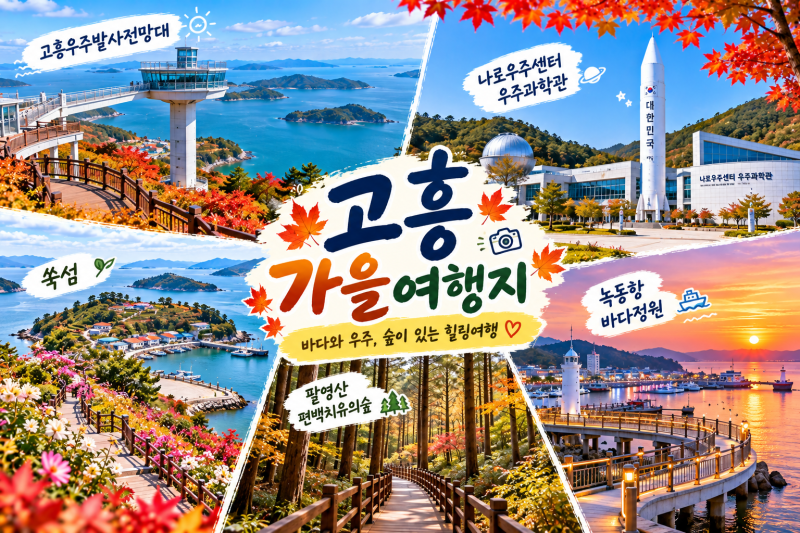 전남 고흥 가볼 만한 곳 BEST 5｜나로우주센터부터 쑥섬까지
