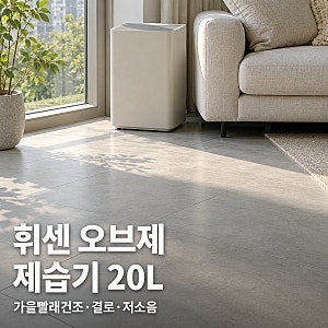 LG 휘센 오브제컬렉션 제습기 20L 가을 빨래 건조·결로 관리 포인트