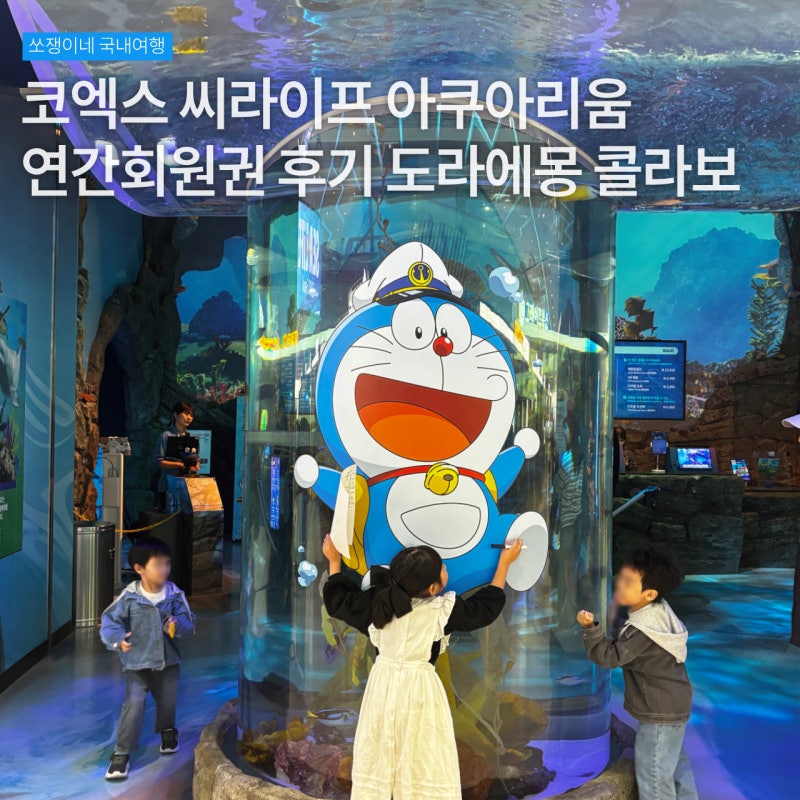 코엑스 씨라이프 아쿠아리움 연간회원권 후기 도라에몽 콜라보