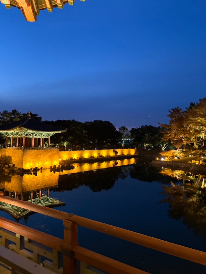 경주 당일치기 여행 코스｜맛집부터 야경까지 - 박용자경주명동쫄면, 커피플레이스, 황리단....