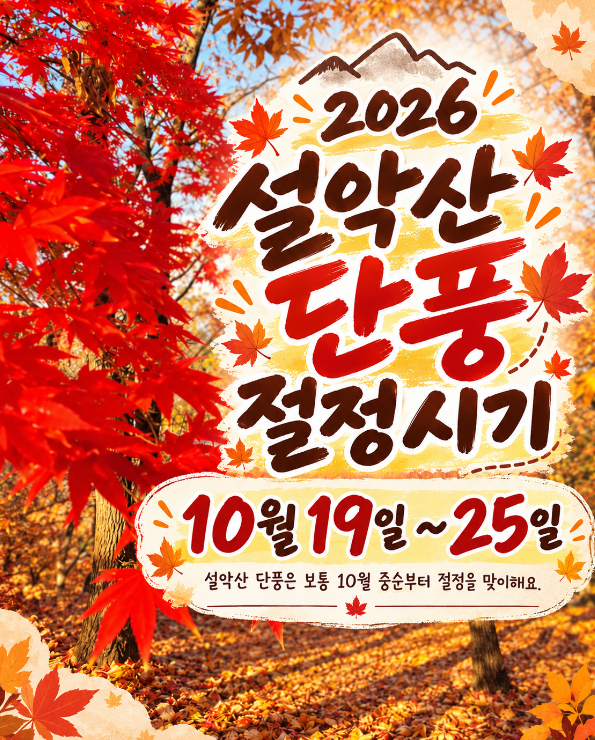 2026 설악산 단풍 절정 시기 I 설악산 케이블카 근처 숙소 추천 켄싱턴 호텔 설악