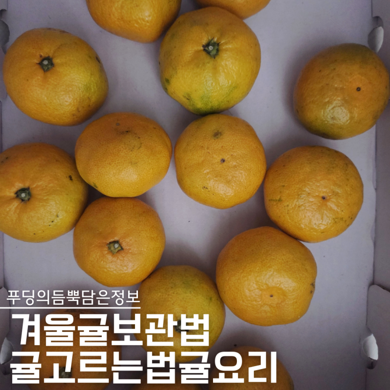 겨울과일 귤보관법 박스째 두면 무르는 이유와 귤요리