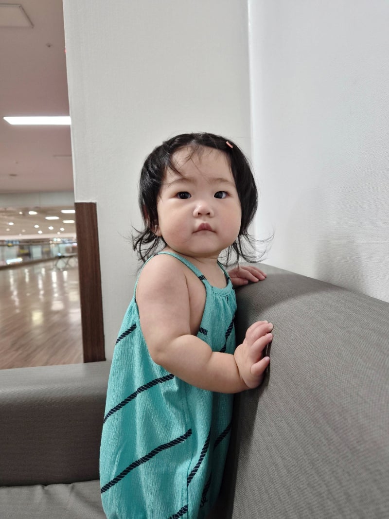 [제주 여행] 9개월 아기 & 강아지와 함께한 제주항공 탑승기! 아기 비행기 주의점과 애견동반 ....