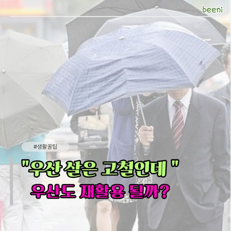 재활용 전문가가 알려준 우산버리는법 의외로 많이 틀리는 분리배출 상식