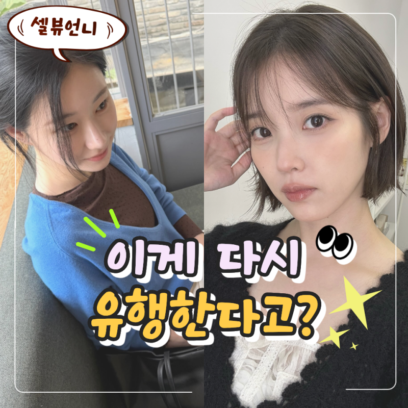 "교복 위에 입던 건데…" 아이유·채령이 입자 거래액 100배 뛴 니트